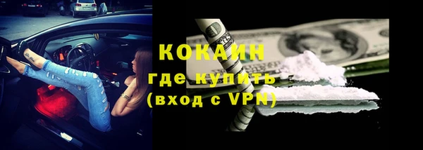 твердый Балахна