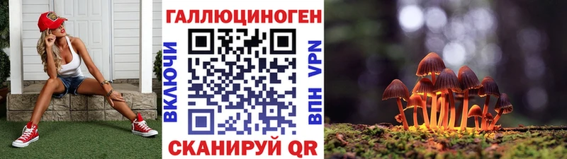 Псилоцибиновые грибы Cubensis  Лесосибирск 